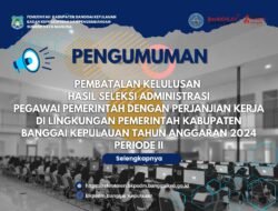 39 Nama Kembali Dibatalkan Kelulusan Seleksi Administrasi PPPK Bangkep tahap 2