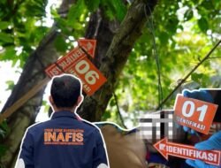Satreskrim Polres Bangkep olah TKP Penemuan Jasad Tergantung di Tinangkung Utara