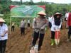 Polres Bangkep Galakkan Penanaman Jagung Serentak Dukung Ketahanan Pangan Nasional