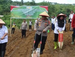 Polres Bangkep Galakkan Penanaman Jagung Serentak Dukung Ketahanan Pangan Nasional