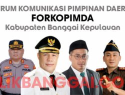 Rekomendasi BPK Terkait Honor Forkopimda Bangkep, Selisihnya Diduga “Dimainkan” jadi Anggaran Perdis oleh Oknum Pejabat di Kesbangpol