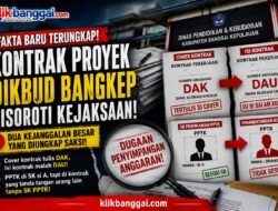 Fakta Baru Kembali Mencuat! Saksi Ungkap Dugaan Kejanggalan Kontrak Proyek Dikbud Bangkep, Benarkah Ada Dokumen yang Tak Sinkron?