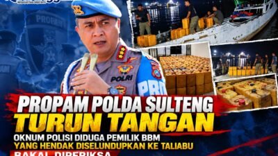 Propam Polda Sulteng Turun Tangan, Oknum Polisi Diduga Pemilik BBM yang Hendak Diselundupkan ke Taliabu Bakal Diperiksa