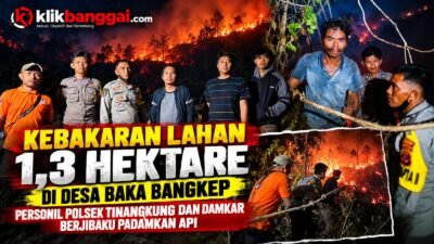 Kebakaran Lahan 1,3 Hektare di Desa Baka Bangkep, Personil Polsek Tinangkung dan Damkar Berjibaku Padamkan Api