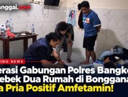 Operasi Gabungan Polres Bangkep Gerebek Dua Rumah di Bongganan, Tiga Pria Positif Amfetamin!